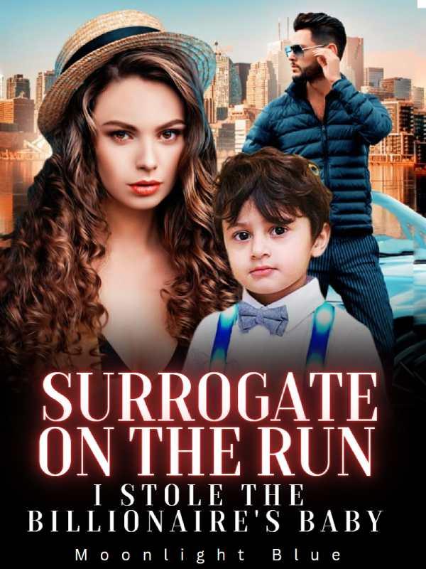 Surrogate On The Run: I Stole The Billionaire's Baby